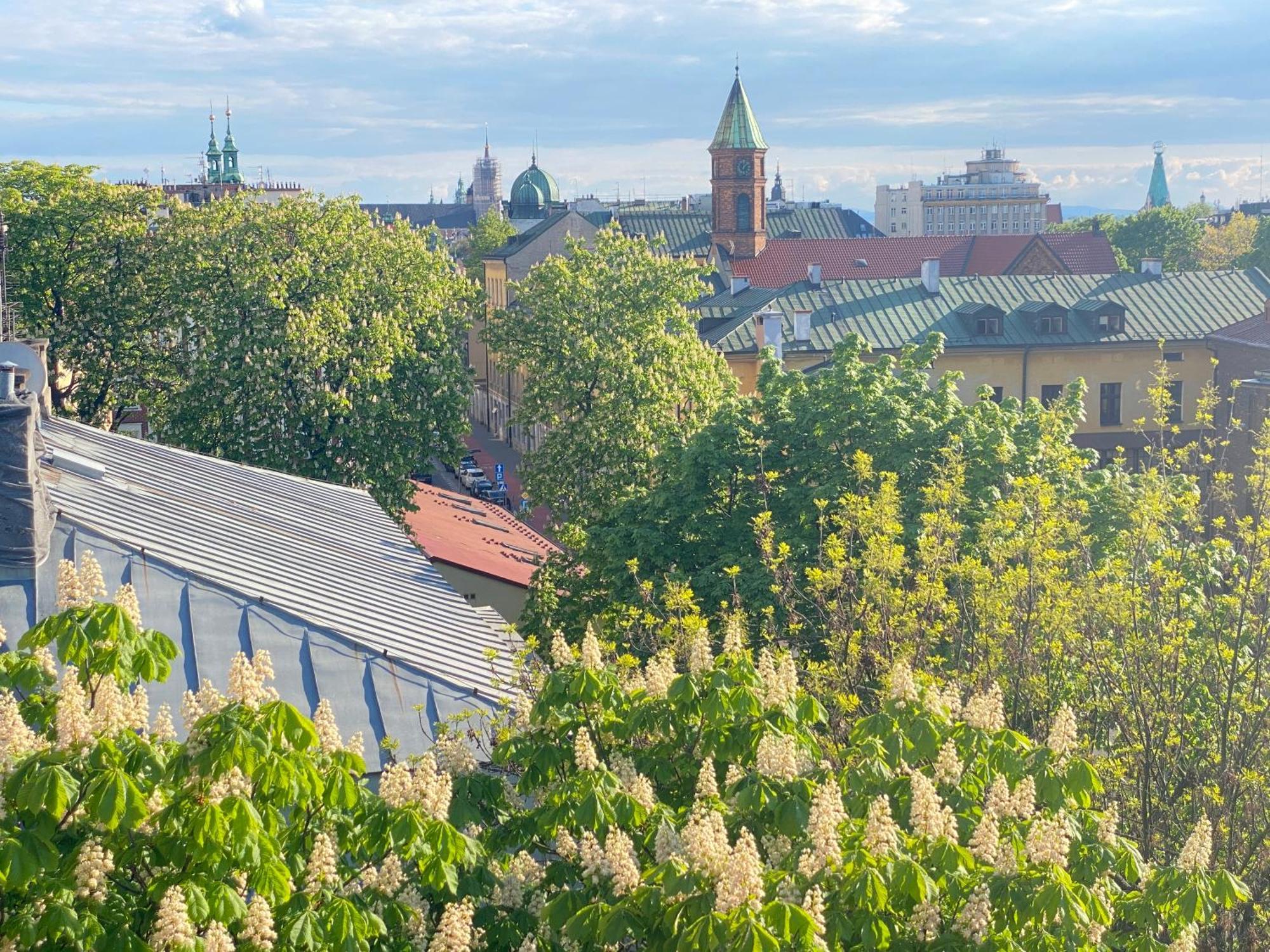 Angel Mint Apartment - Free Parking - Balcony Краков Экстерьер фото